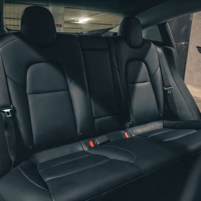 Tesla Model 3 Back Seat